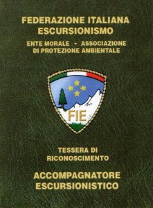 tessera accompagnatore nazionale