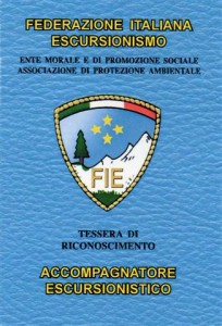 tessera aiuto accompagnatore nazionale